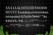 Hermas – Christmas Font, a Serif Font by Yukita Creative (Thumbnail 8 of 8)
