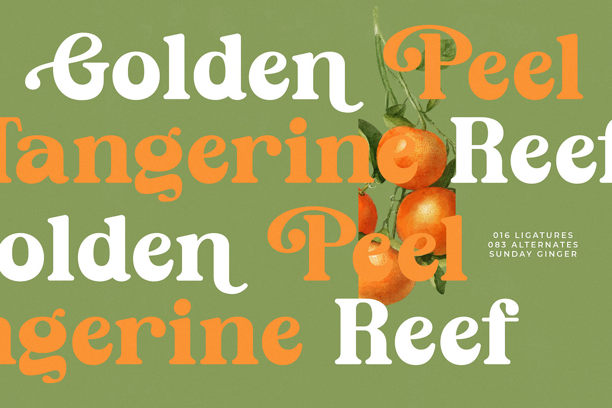 Sunday Ginger Vintage Serif, a Serif Font by timelesstype.co (Photo 12 of 20)