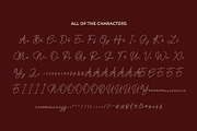 CS Aisling Dashed, a Script Font by Craft Supply Co. (Thumbnail 8 of 8)