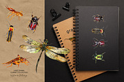 Insects and bugs watercolor clipart, an Object Graphic by ArtSpotVeronika (Thumbnail 4 of 11)
