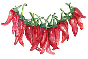 Watercolor set of Mexico., a Food Illustration by Vikeriya (Thumbnail 5 of 5)