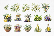 Olive Watercolor Clipart, a Food Illustration by Douce Créativité (Thumbnail 5 of 6)