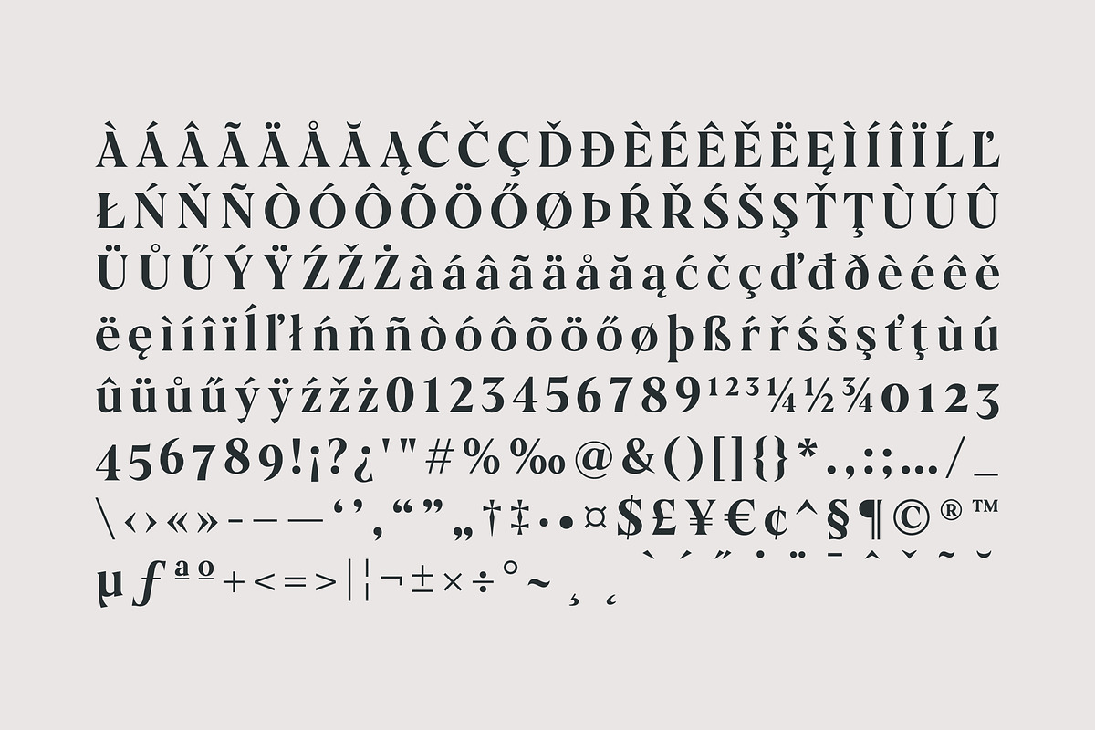 Galonia Type, a Serif Font by Dopestype (Photo 12 of 13)
