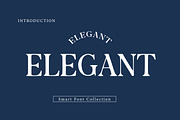 Elegant, a Serif Font by Wow Magic (Thumbnail 1 of 3)