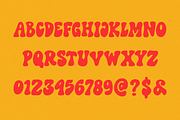 Teenage Madness - Groovy Display, a Handwritten Font by TeenageFoundry (Thumbnail 5 of 6)