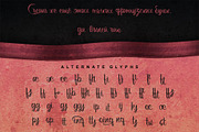 Bertha - Script With Ligatures, a Script Font by Vintage Font Lab (Thumbnail 5 of 10)