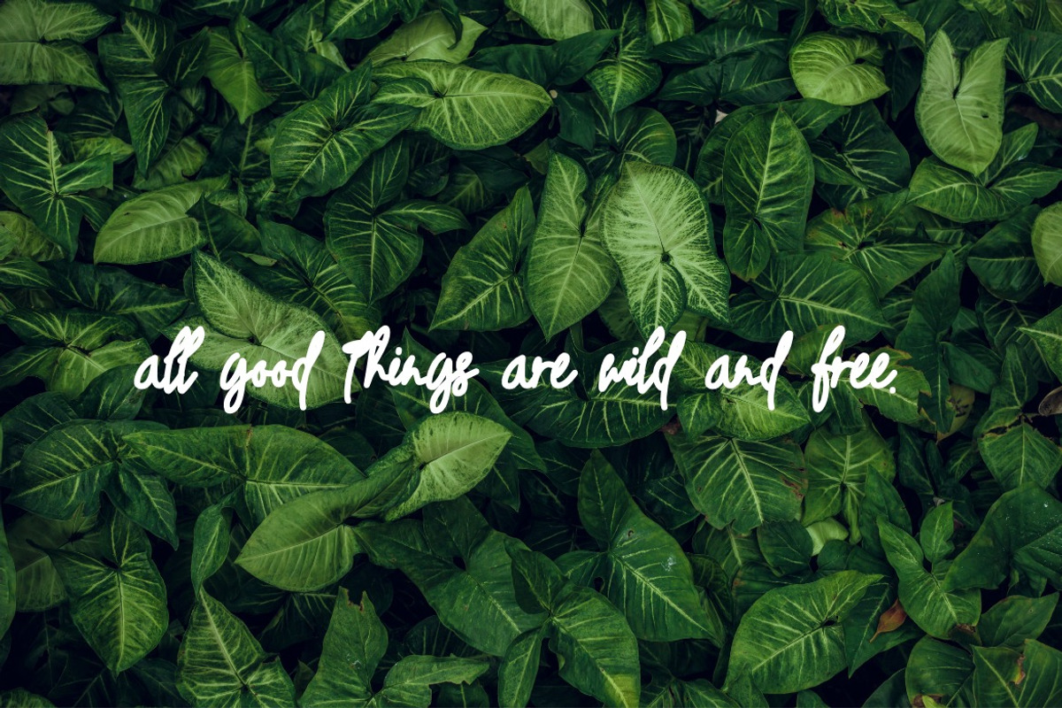 Trassetya - Handwritten Font, a Script Font by Dhabee (Photo 8 of 10)