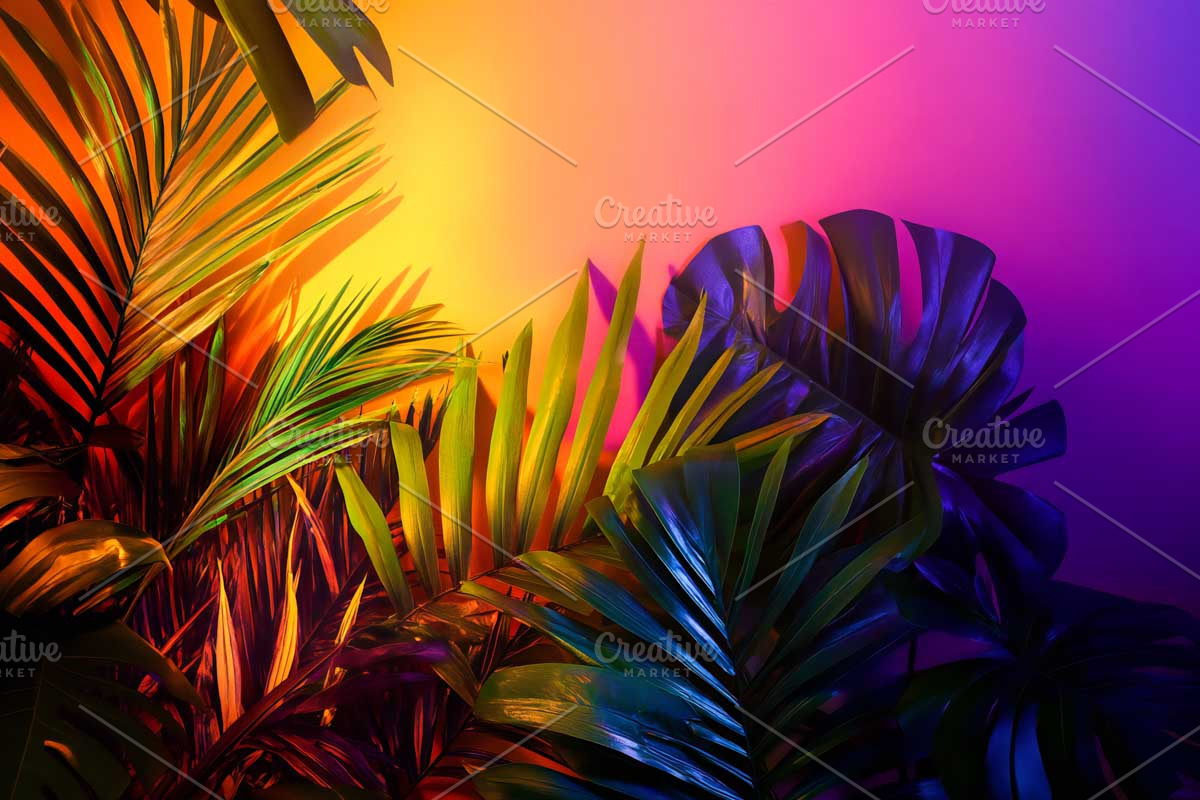 Frames in Neon Fluorescent Light, a Templates & Theme by VetalStock (Photo 2 of 5)