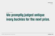 Sterling, a Font by VarsityType® (Thumbnail 5 of 6)