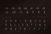 Given Elegant Serif Display Font, a Serif Font by Perfectype (Thumbnail 8 of 8)
