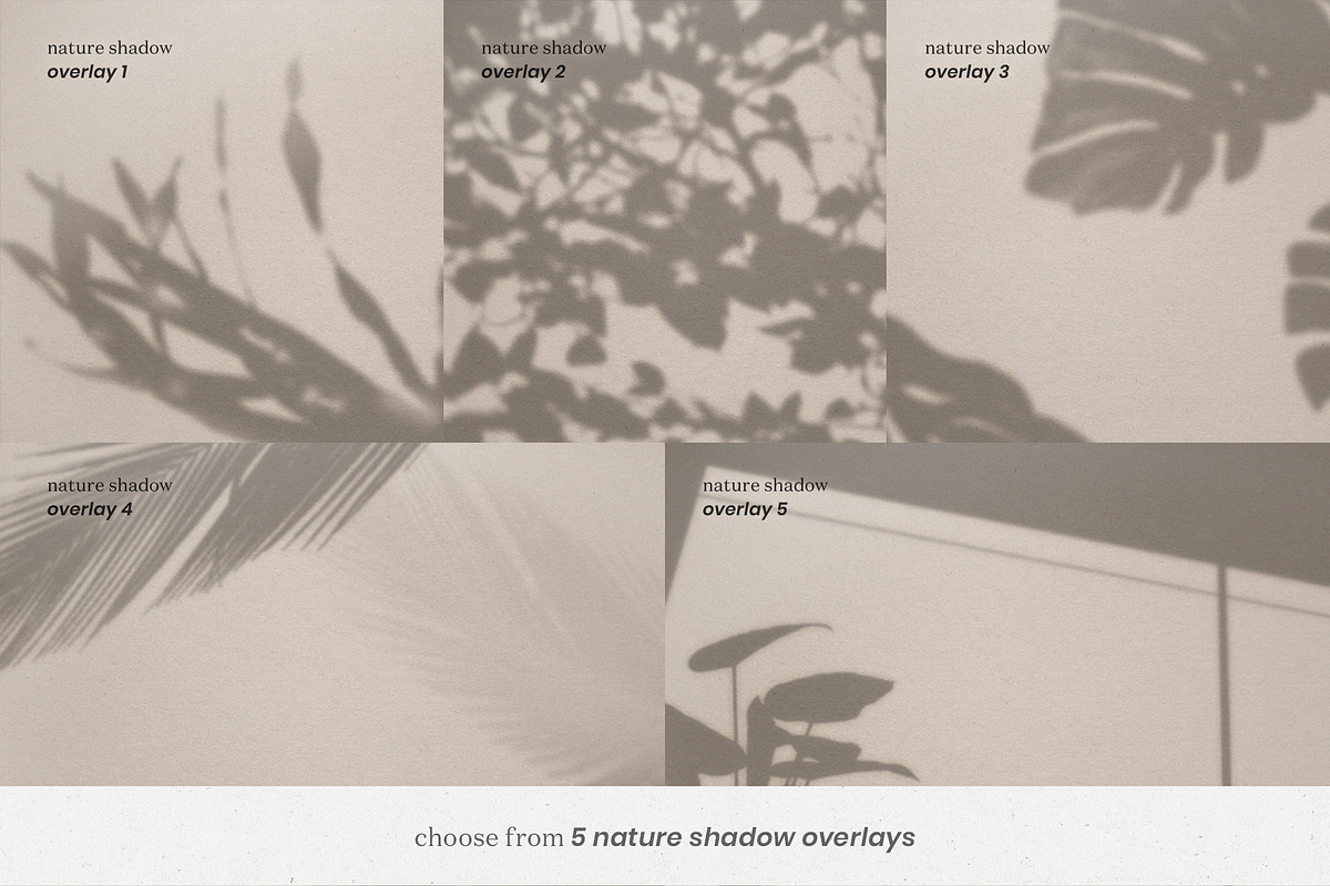 Book & Magazine Mockup Kit, a Books & Magazine Mockup by Lifestyle Project (Photo 10 of 17)