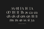 Miscala Aesthetic Serif Typeface, a Serif Font by Imoodev (Thumbnail 5 of 6)