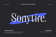 Sonytire - Classy Elegant Serif, a Serif Font by Variatype (Thumbnail 1 of 10)