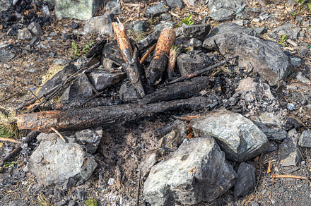 Gray and brown big stones and pine t, a Nature Photo by Illustrations&photos
