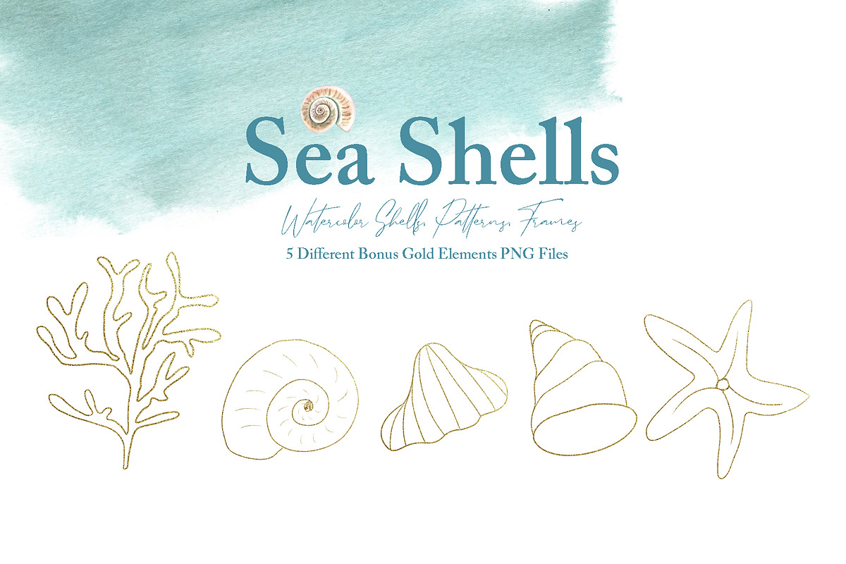 Watercolor Sea Shells Illustrations, a Work Illustration by TanataDesign (Photo 4 of 10)