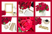 Red Roses Collection, a Business Photo by yamilette.platero (Thumbnail 6 of 6)