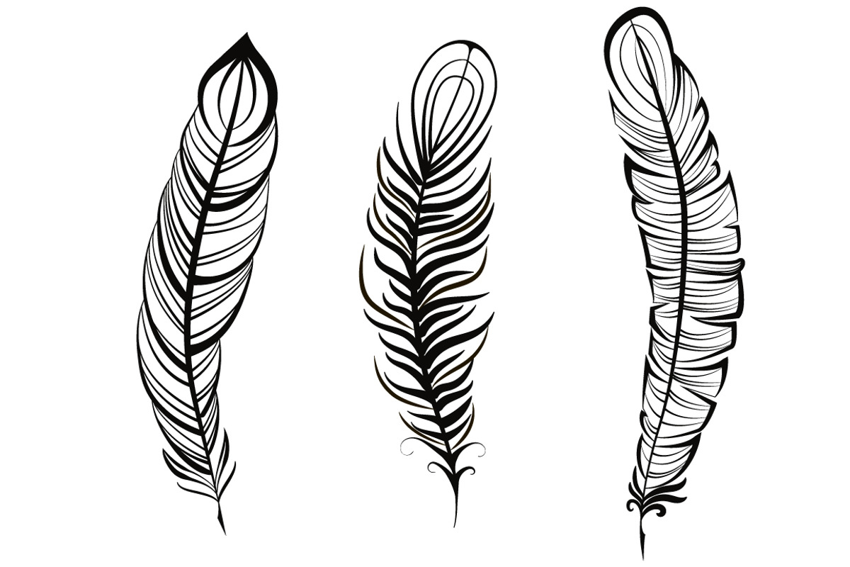 Feathers hand drawn set, a Decorative Illustration by Tierre3012 (Photo 3 of 5)