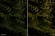 15 Leica Lightroom Presets, a Preset Add-On by Lavinsky Art Store (Thumbnail 12 of 16)