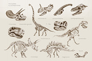 Dinosaur Skeletons Clip Art, an Illustration by Alena Sid (Thumbnail 2 of 13)