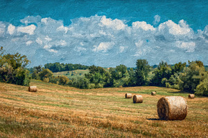 Sunny day in a countryside field, a Photo by Pavel_design