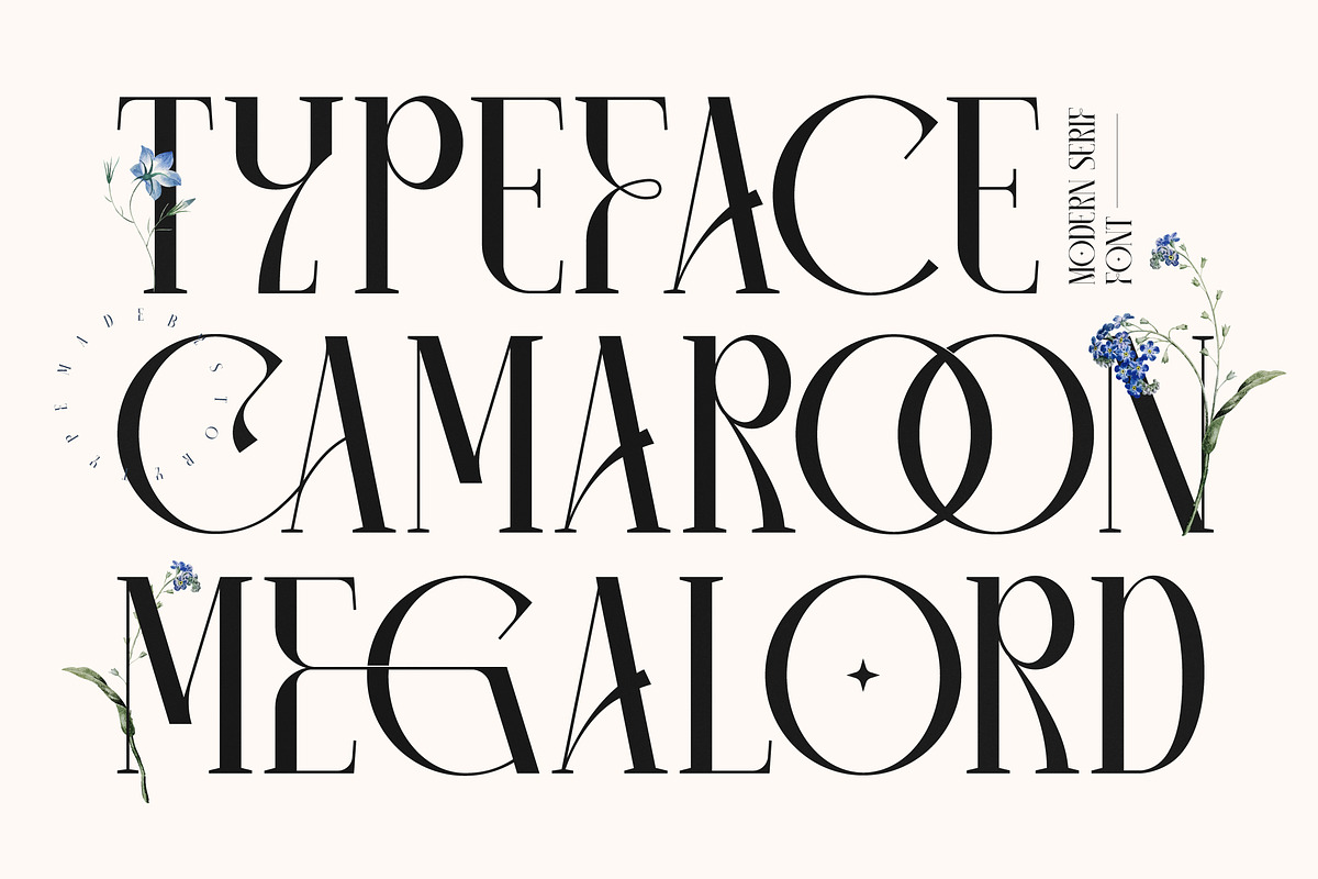 Camaroon Megalord Serif Display Font, a Serif Font by Storytype Studio (Photo 15 of 15)