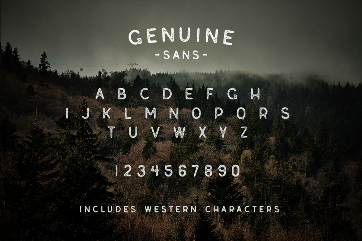 Genuine Script - Textured Type Duo preview 4