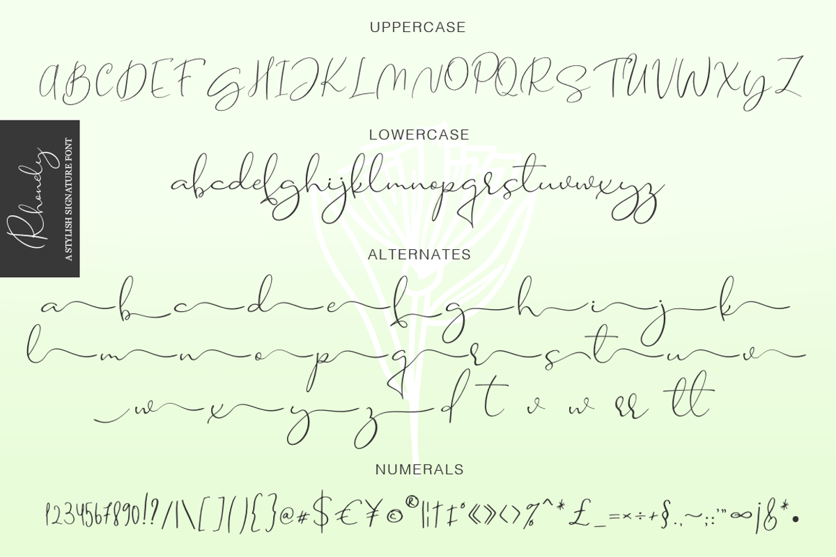 Rhonely, a Script Font by Larin Type Co. (Photo 10 of 10)