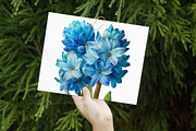 Watercolor Spring Flowers Clipart, an Illustration by Libby Wishes (Thumbnail 5 of 7)