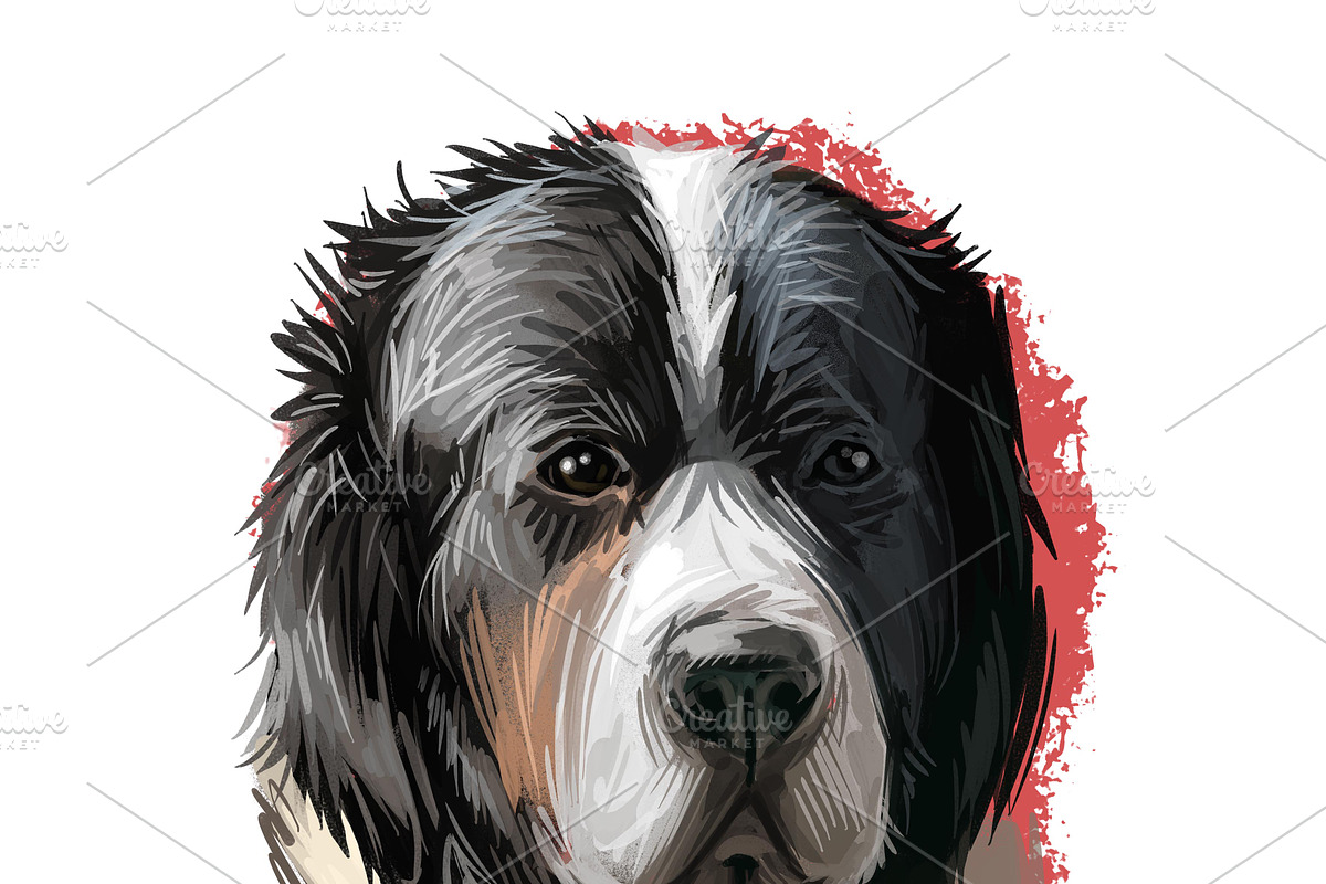 Mastiffs and Pugs 34 PSD Dogs Set, an Animal Illustration by Dneprstock (Photo 3 of 15)