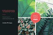 Tropic | Tropical Green Photo Bundle, a Nature Photo by MDSN Design (Thumbnail 1 of 16)