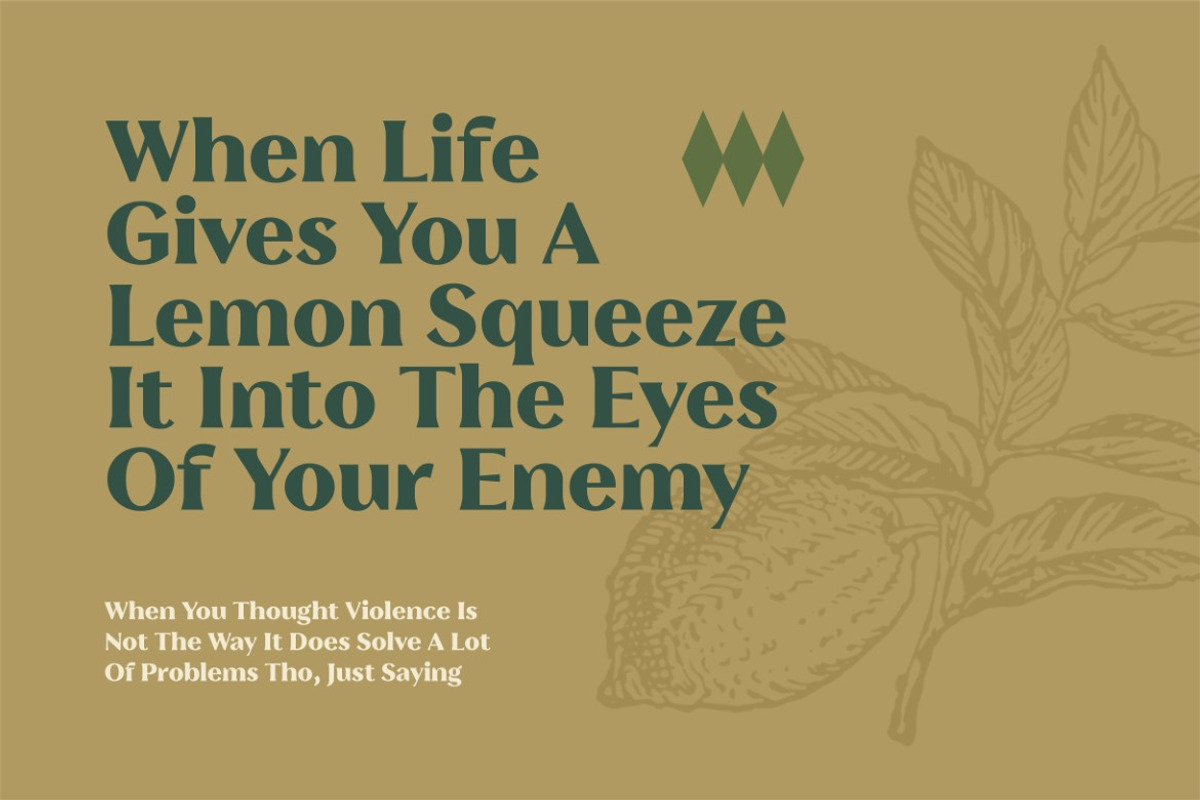Emerald Charm, a Serif Font by graphicook (Photo 9 of 10)
