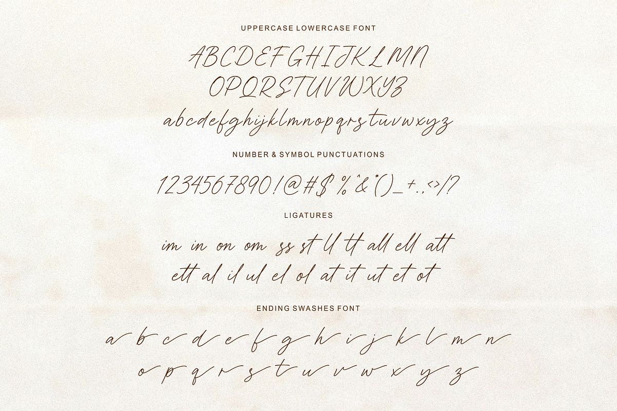 Bristleback, a Script Font by Shopifont.co (Photo 12 of 13)