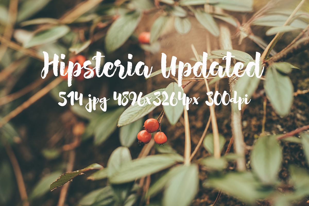 Hipsteria photo pack, a Templates & Theme by ApertureVintage (Photo 23 of 48)