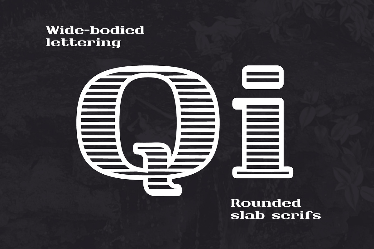 Monarch North Line Serif Font preview 4