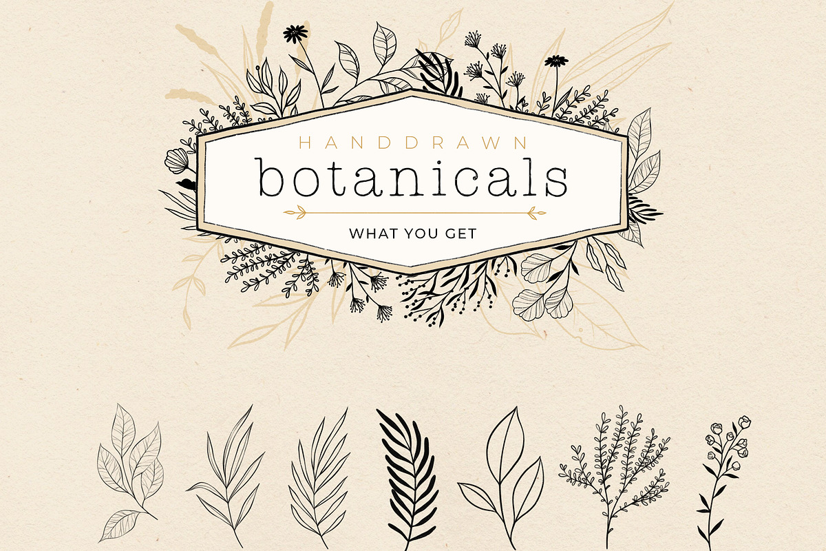 Handdrawn Botanicals, an Illustration by Ramona Schratt (Photo 8 of 8)