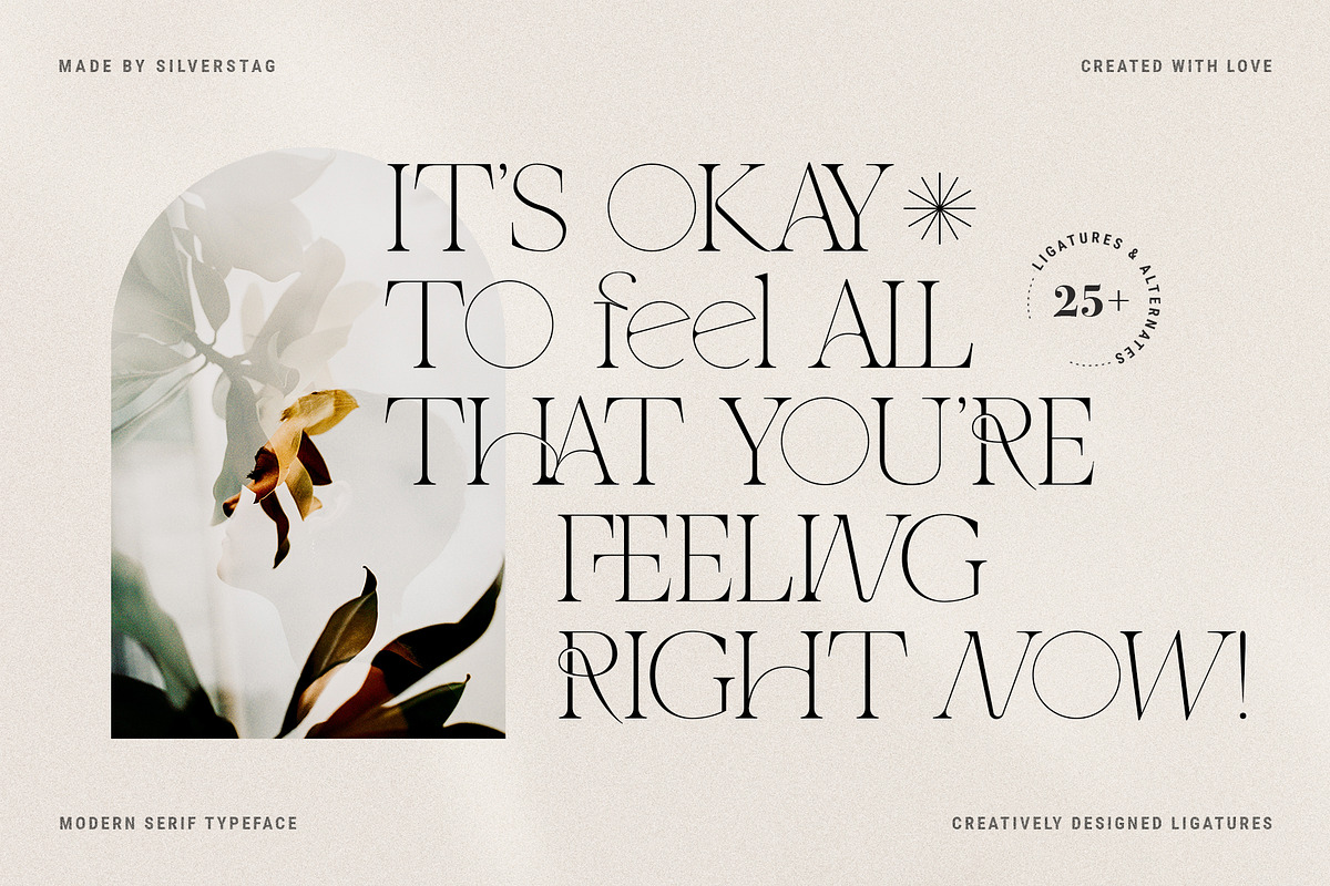 THE FRENCH KISS ROYAL TYPEFACE, a Serif Font by SilverStag Type Foundry (Photo 10 of 23)