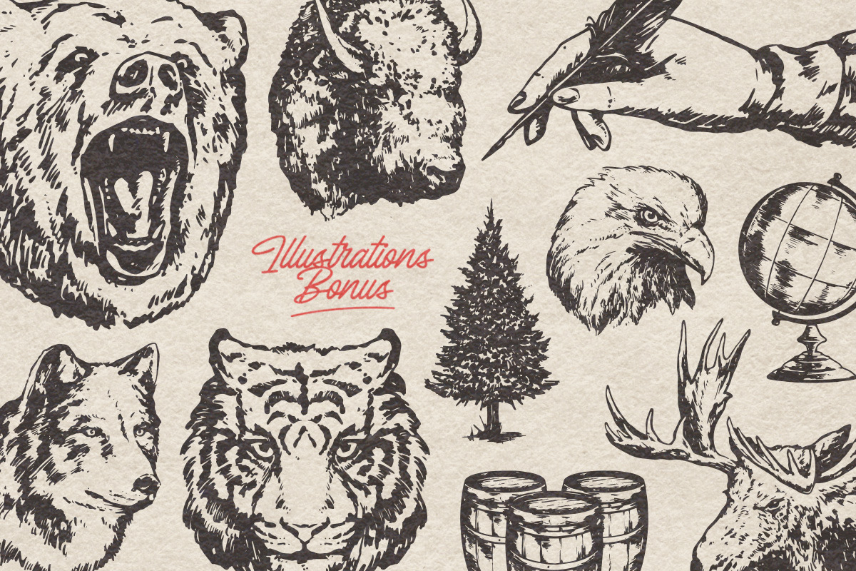 Bardian - Monoline Script, a Script Font by Letterhend Studio (Photo 3 of 9)