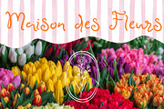 Sweet Disposition Handwritten Script, a Handwritten Font by Kaya Fonts (Thumbnail 15 of 37)