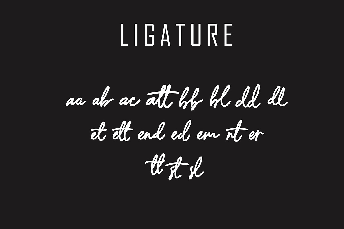 Danilla Modern Signature Font preview 8