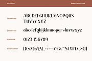 Badger Valley Modern Sans Serif, a Sans Serif Font by Heinzel Std (Thumbnail 12 of 13)