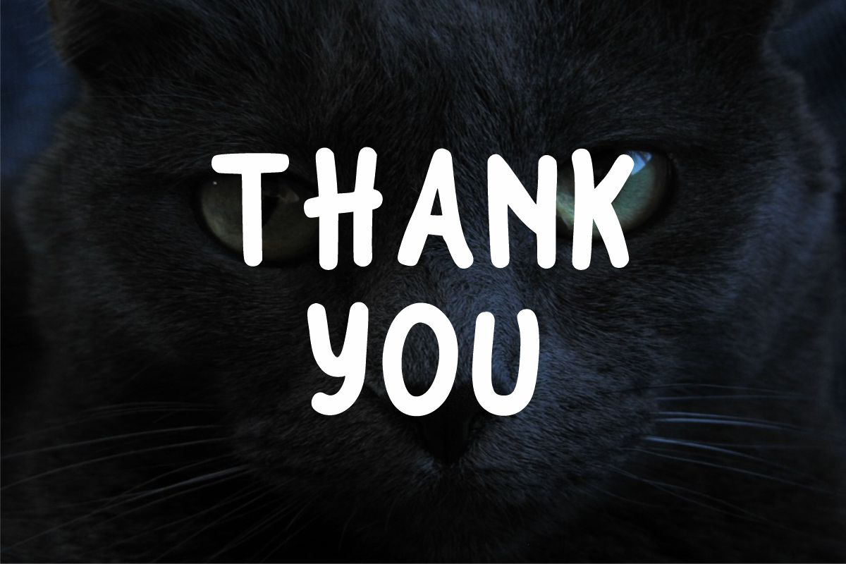 Black Cats - Cartoon Font, a Sans Serif Font by Fourteen Letter (Photo 5 of 7)