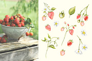 Strawberry Pink Flower Garden, a Decorative Illustration by Rachel Art Studio (Thumbnail 8 of 9)