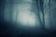 Mysterious forest halloween pack stock photo containing dark and eerie, a Nature Photo by Atmospheric visuals (Thumbnail 2 of 5)