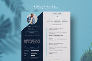 Dark & Light Blue Resume/cv