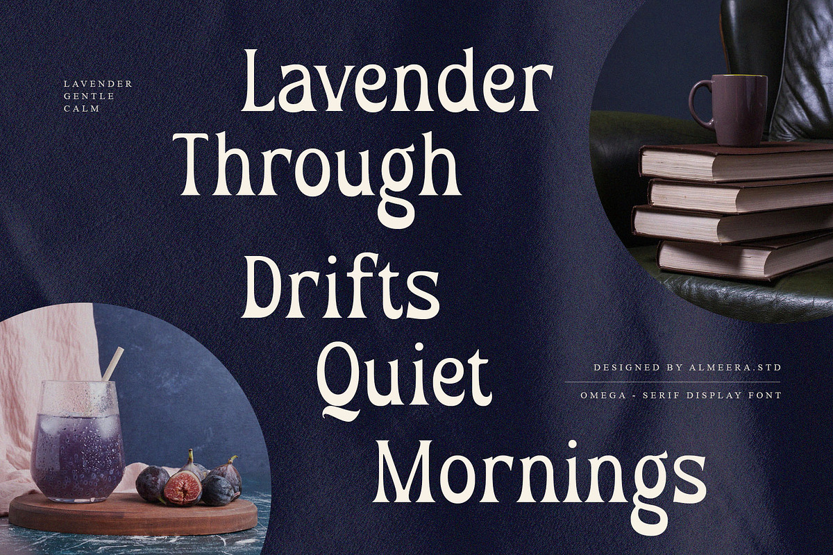 Omega – Serif Display Font, a Serif Font by Almeera Std (Photo 5 of 10)