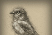 Hand Drawn Photoshop Action, an Action Add-On by Sevenstyles (Thumbnail 9 of 13)