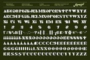Bormund - Display Serif Font, a Serif Font by MooneseyeType (Thumbnail 2 of 9)