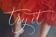 Procreate Calligraphy brushes +Bonus, a Brush Add-On by Type Tale (Thumbnail 10 of 10)