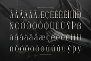 Dennya | Display Serif Font, a Serif Font by gracetype_studio (Thumbnail 11 of 12)