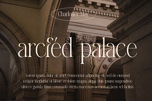 Darina Elegant Serif Font